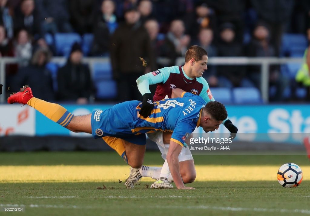 shrewsbury town