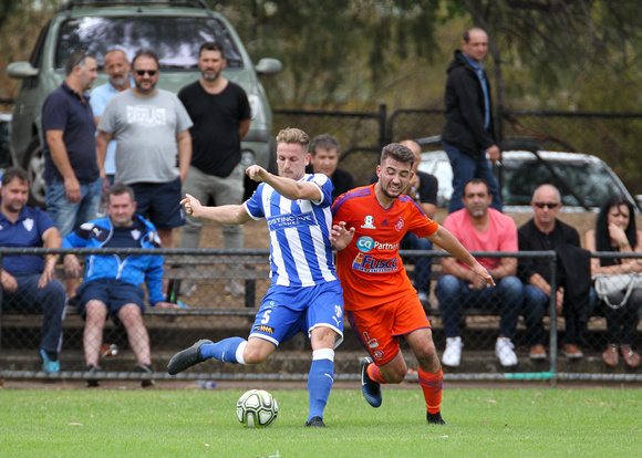 sturt lions vs west adelaide