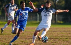 oakleigh cannons vs green gully